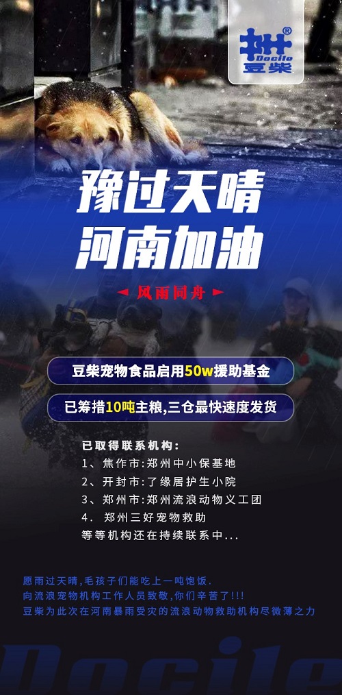 豆柴宠物食品筹措10吨主粮，救助河南受灾流浪宠物